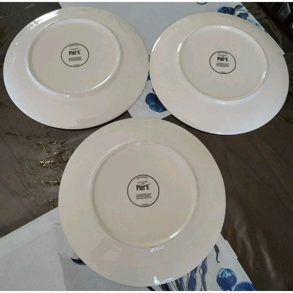 3 Pier 1 Autumn Bliss Pumpkins Gourds Salad Lunch Plates